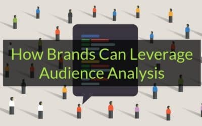 How Brands Can Leverage Audience Analysis